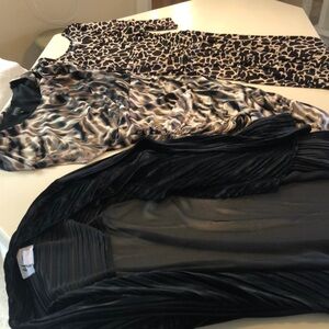 Stylish Animal Print Dresses and sheer back
Black jacket